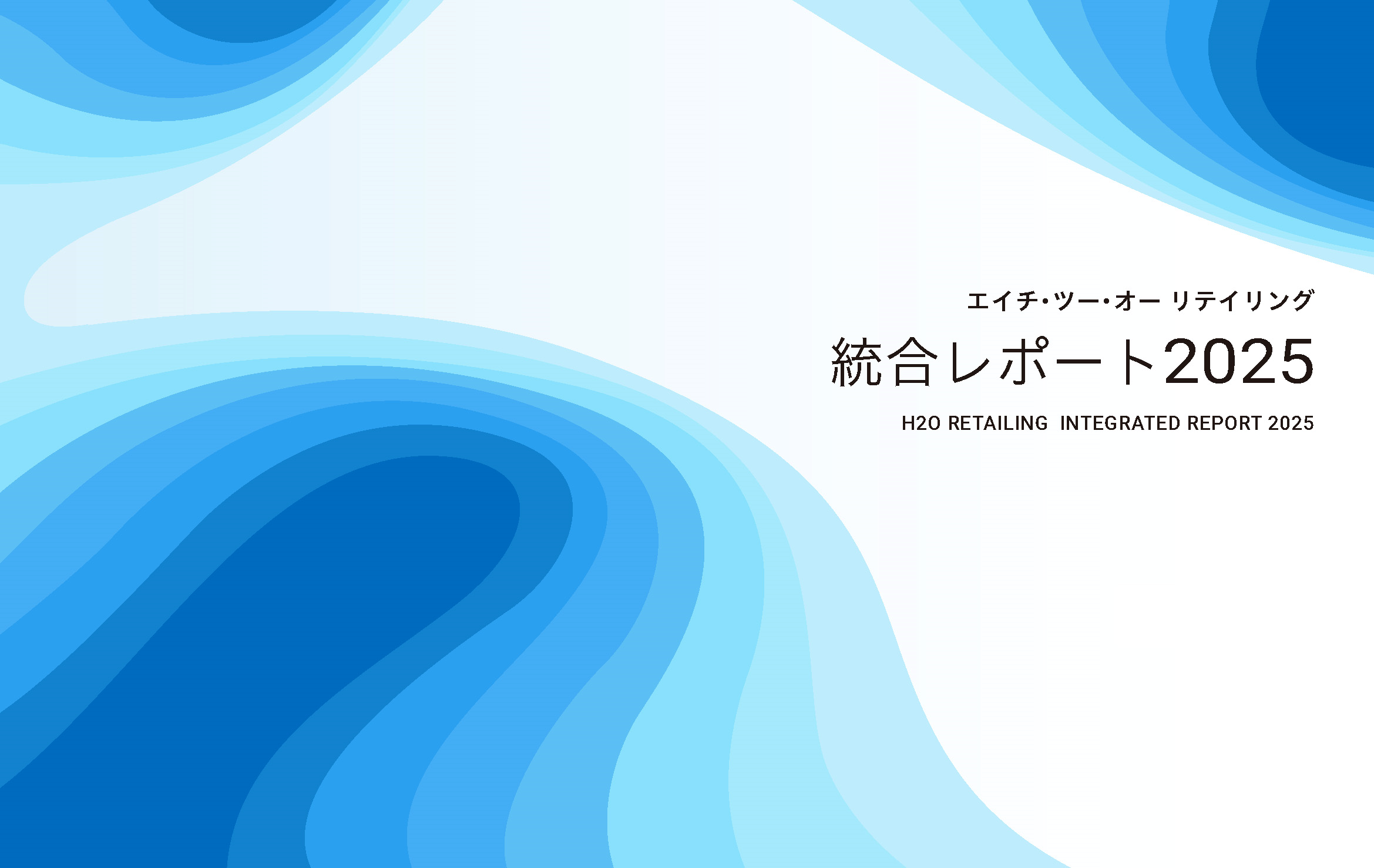 統合レポート