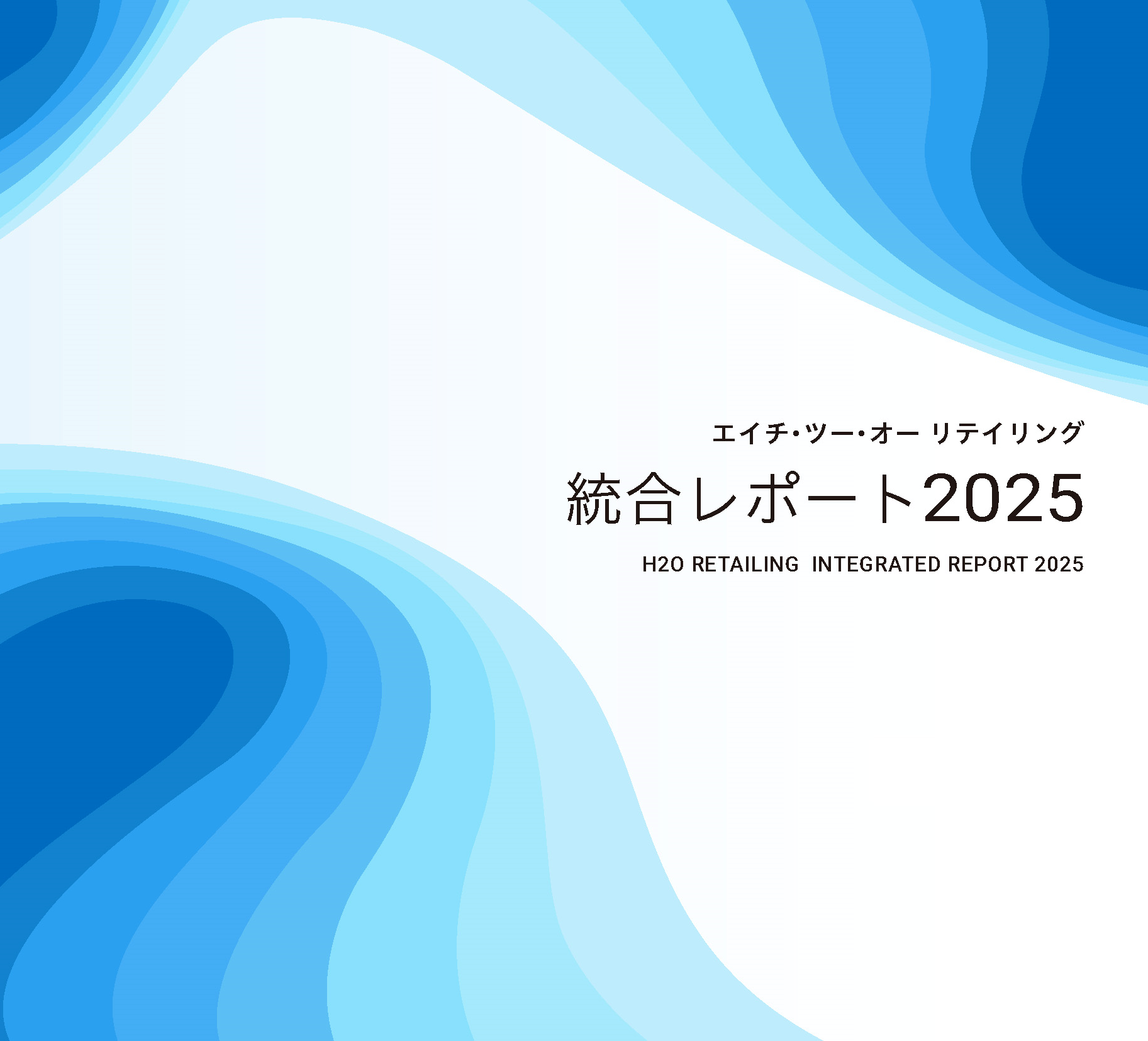 統合レポート